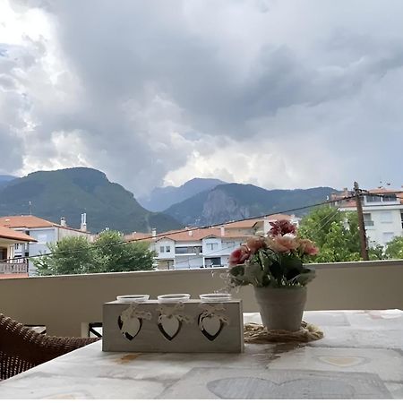 Ferienwohnung Στη Γοητεία Του Ολύμπου Litochoro Exterior foto